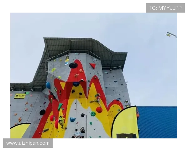 成都攀岩队运营分析:成功经验与面临挑战的深度探讨 成都攀岩队运营分析:成功经验与面临挑战的深度探讨