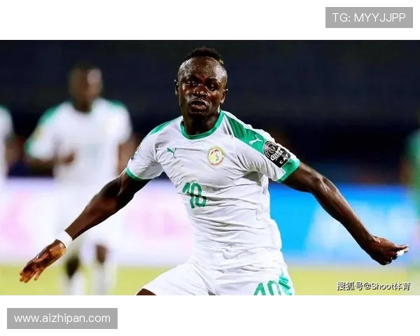 尼日利亚与刚果足球赛精彩直播全程回顾与分析