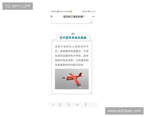 南京与武汉极限运动队赛后技术分析与战术对比探讨