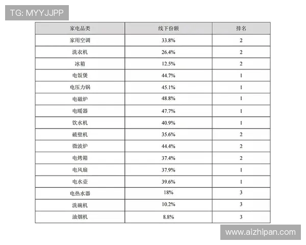 成都排球队技术分析与战术创新的深度探讨与展望