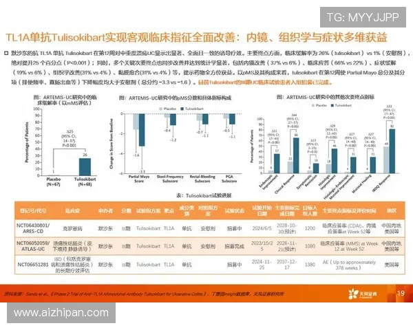 重磅专题：探索BLG在行业转型中的创新与发展路径